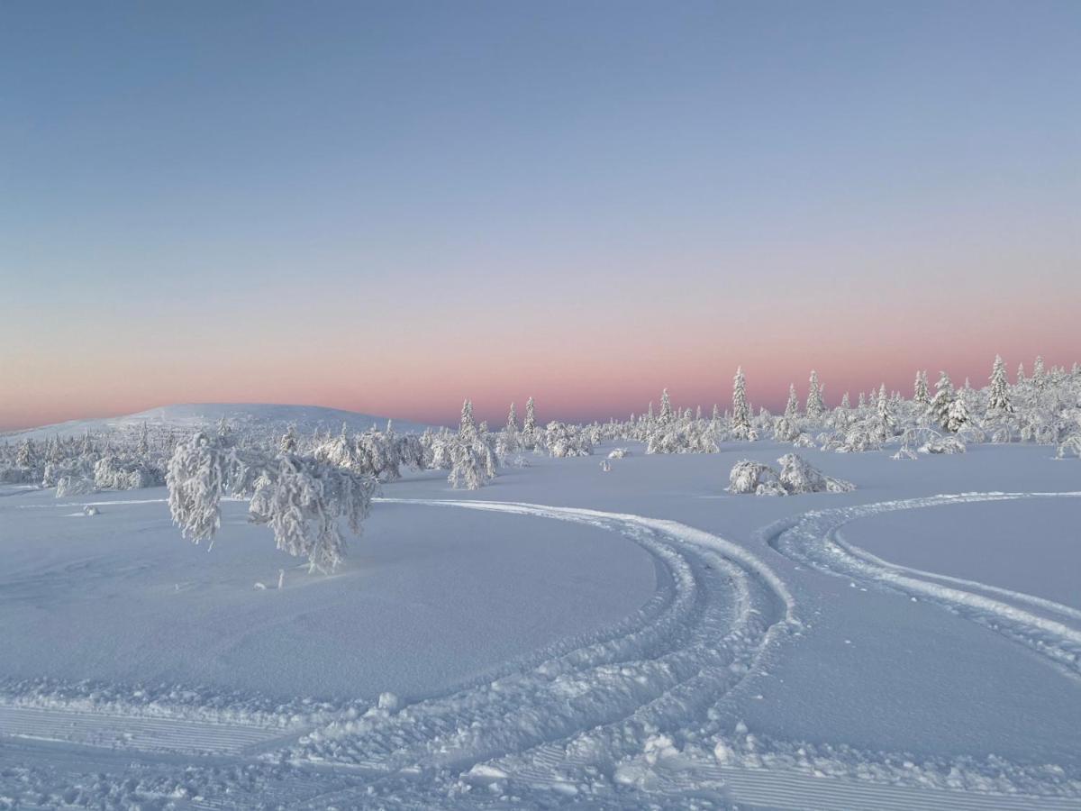 Nybyggd 8-Baeddars Skidstuga I Lofsdalen Eksteriør bilde